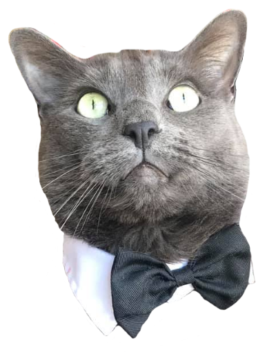 borscht wearing a bowtie