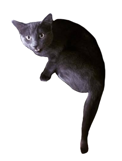 borscht looking behind his back at the camera, screaming