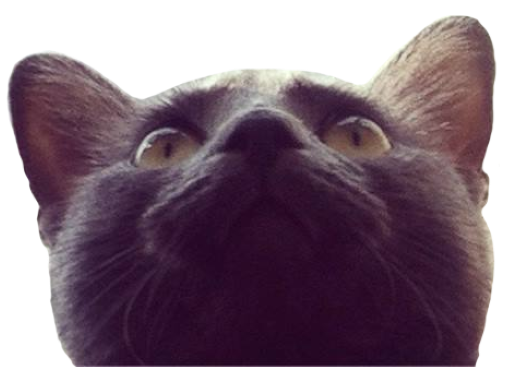 borscht, low angle shot beneath his chin, eyes gleaming